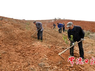 【社会】鼎城区蔡家岗镇：早动手 抢农时