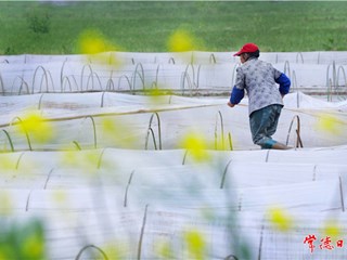 春耕【组图】