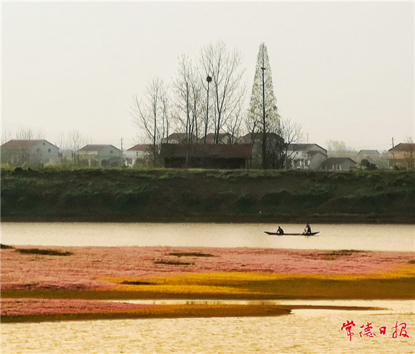 蒋世元-春色撩人-1.jpg