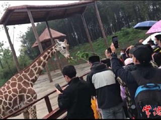 【摄影报道】＂五一”假期首日，汉寿野生动物上场霸屏