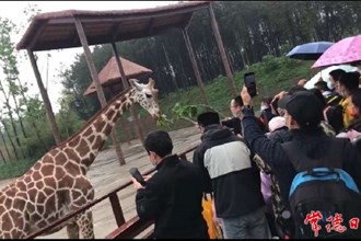 【摄影报道】＂五一”假期首日，汉寿野生动物上场霸屏