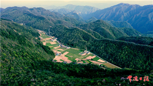上马蹬村：牛羊成群遍山野【组图】