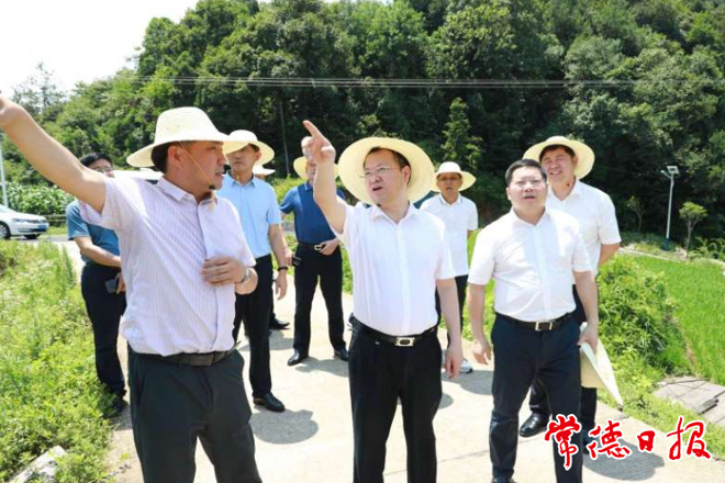 周振宇前往澧县万家岗村督导巩固脱贫成果“大走访”活动强调　发动群众参与家乡建设和发展