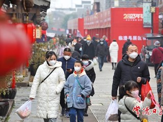 【摄影报道】这场年货节现场人气“爆棚”