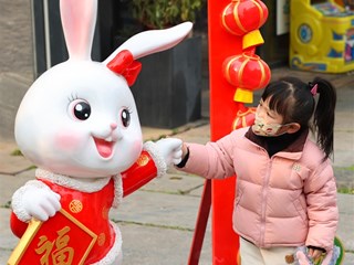 【社会】市城区布置兔元素喜庆装饰