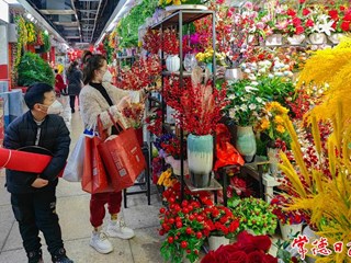 【新春走基层】桥南市场迎来“年货大军”
