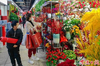 【新春走基层】桥南市场迎来“年货大军”