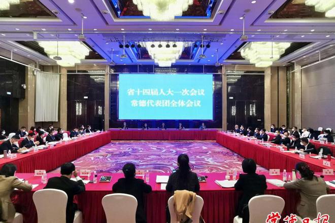 秦国文在参加常德代表团集中审议时指出 充分发挥自身优势 努力树立全省工作标杆