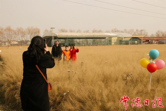 【文化】澧县城头山景区上演“非遗秀”