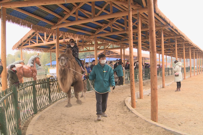 【社会】这个春节多了一种“年味”：5万余人打卡常德同发野生动物世界