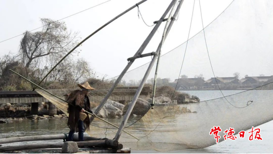 【社会】湖仙岛推出搬罾捕鱼表演