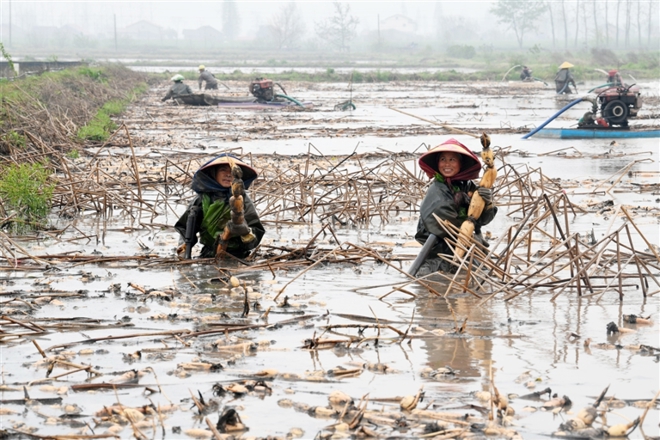 【多图】向阳而行
