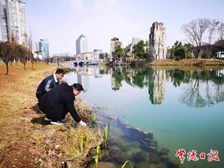 【生态】武陵区穿紫河街道开展日常巡河 守护碧水清流