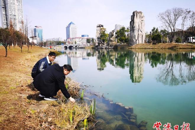 【生态】武陵区穿紫河街道开展日常巡河 守护碧水清流