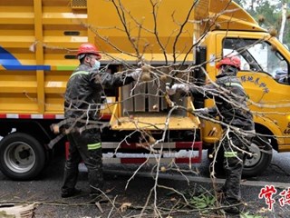 【社会】常德市首台绿化垃圾粉碎车利落上岗