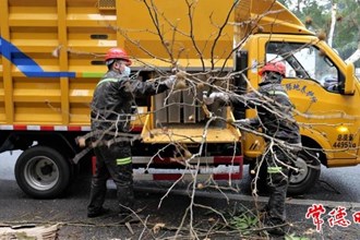 【社会】常德市首台绿化垃圾粉碎车利落上岗
