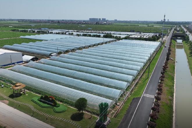 【西湖】春耕农时忙 育出“金苗苗”