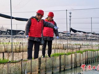 【摄影报道】“电骡子”上门服务 保春季养殖用电