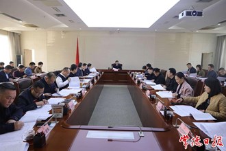 市本级政府投资项目计划审查暨专项债项目调度会召开