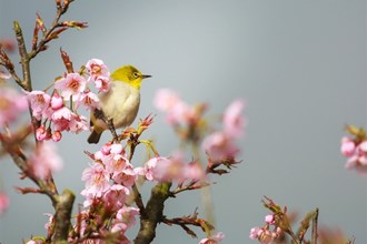 【多图】又见春天