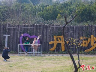 【社会】去丹洲，感受惬意时光