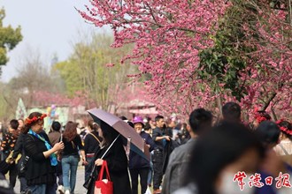 【“三八”妇女节】桃花源景区开启“人从众”模式