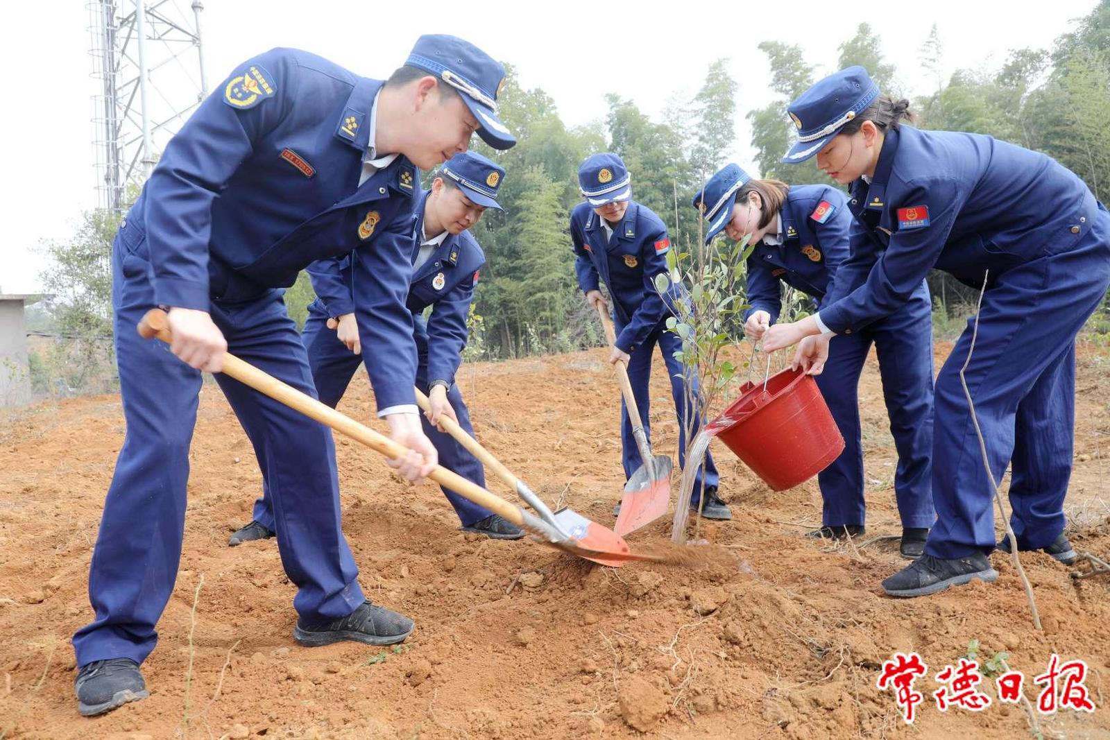 常德“火焰蓝”植树添绿不负好春光_部门动态_常德资讯_常德市人民政府门户网站