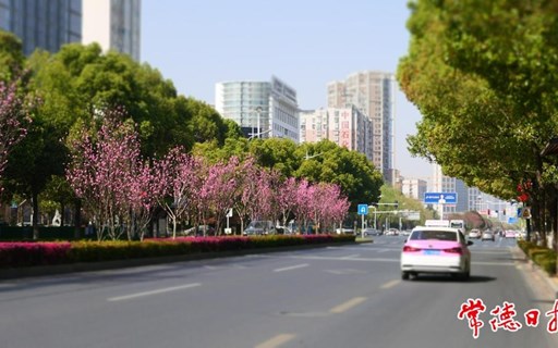 【赏花地图】春风正好 桃花正浓