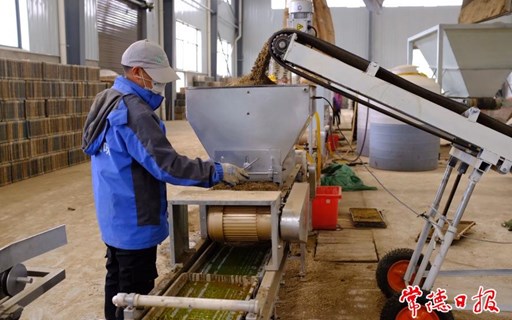 【摄影报道】育秧也能“工厂化”