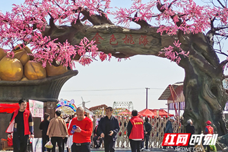 【社会】西湖：金色桃海花开如画 乡村振兴再展新颜