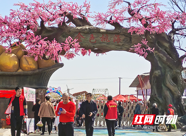 【社会】西湖：金色桃海花开如画 乡村振兴再展新颜