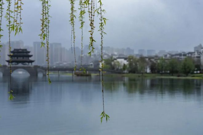 【多图】春染柳湖（二）