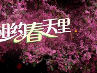 【海报】相约常德，拥抱春天