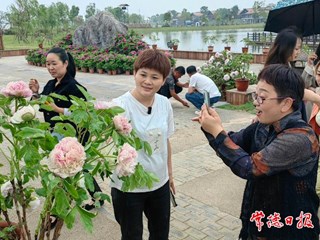 【社会】常德柳叶湖渔歌艺术营地牡丹花海游人如织