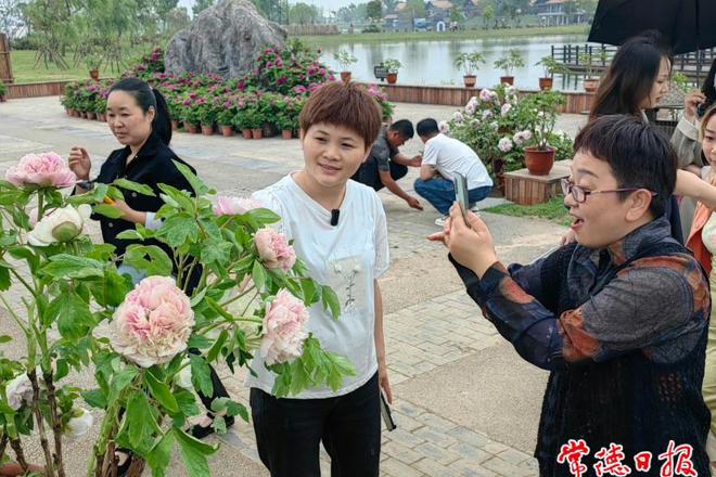 【社会】常德柳叶湖渔歌艺术营地牡丹花海游人如织