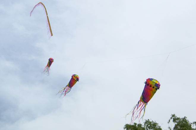 【社会】西洞庭管理区首届风筝节成功举行