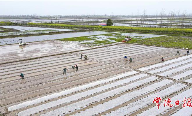 【社会】春日田野的蝶变