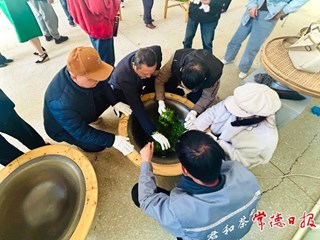 【社会】茶旅融合赋能乡村振兴
