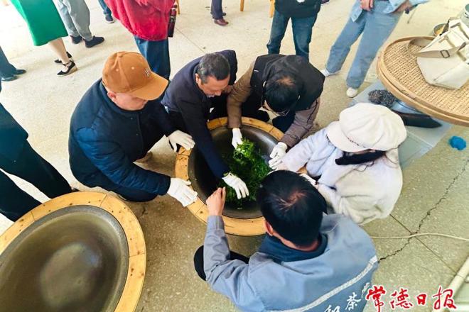 【社会】茶旅融合赋能乡村振兴