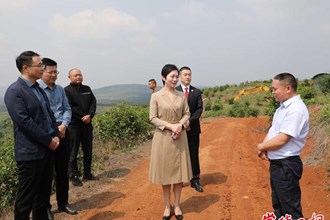 市领导赴临澧县开展巡林和矿山安全生产督导检查