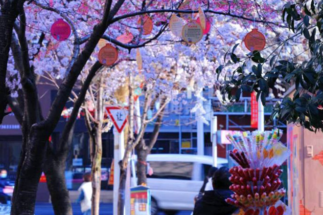 2023年度“发现常德之美”影像征集大赛第1期作品选登