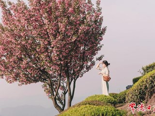 【桃花源里好生活】山明水秀