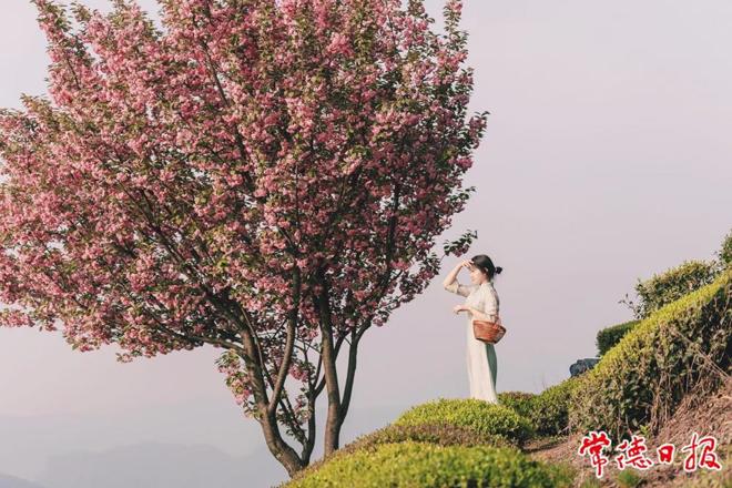 【桃花源里好生活】山明水秀