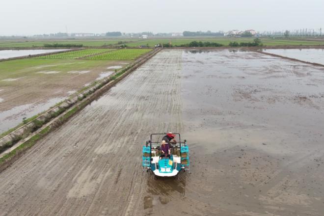 【社会】西湖：机械化助力春播提速增效