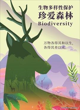 珍爱湿地，森林-2