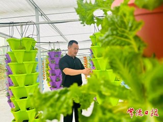 【摄影报道】安乡绿蔬园现代农业产业园即将开园