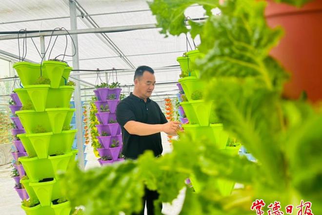 【摄影报道】安乡绿蔬园现代农业产业园即将开园