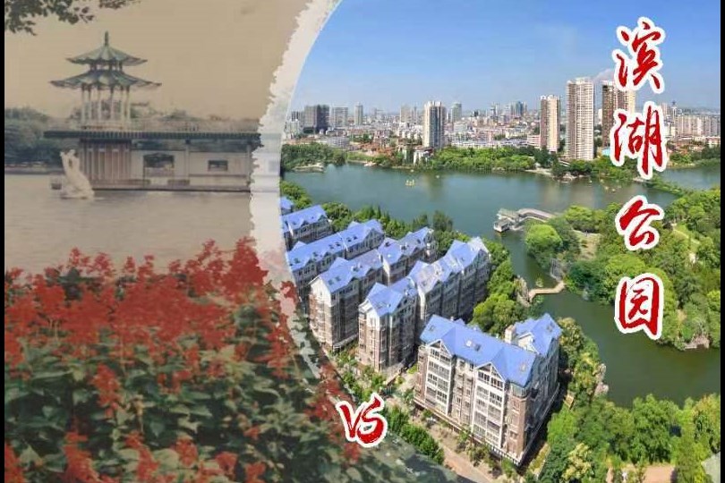 滨湖公园