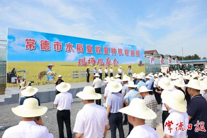 曹志强在全市水稻夏收夏种机收减损现场观摩暨粮食工作会议上强调：扛牢粮食大市责任 坚决完成全年粮食生产任务