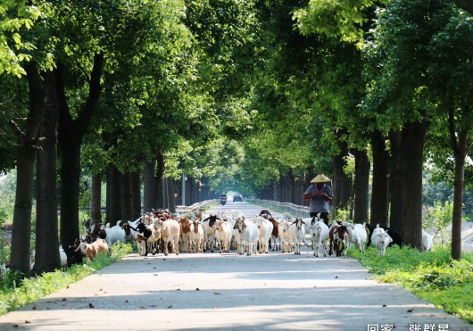 2023年度“发现常德之美”影像征集大赛第8期作品选登